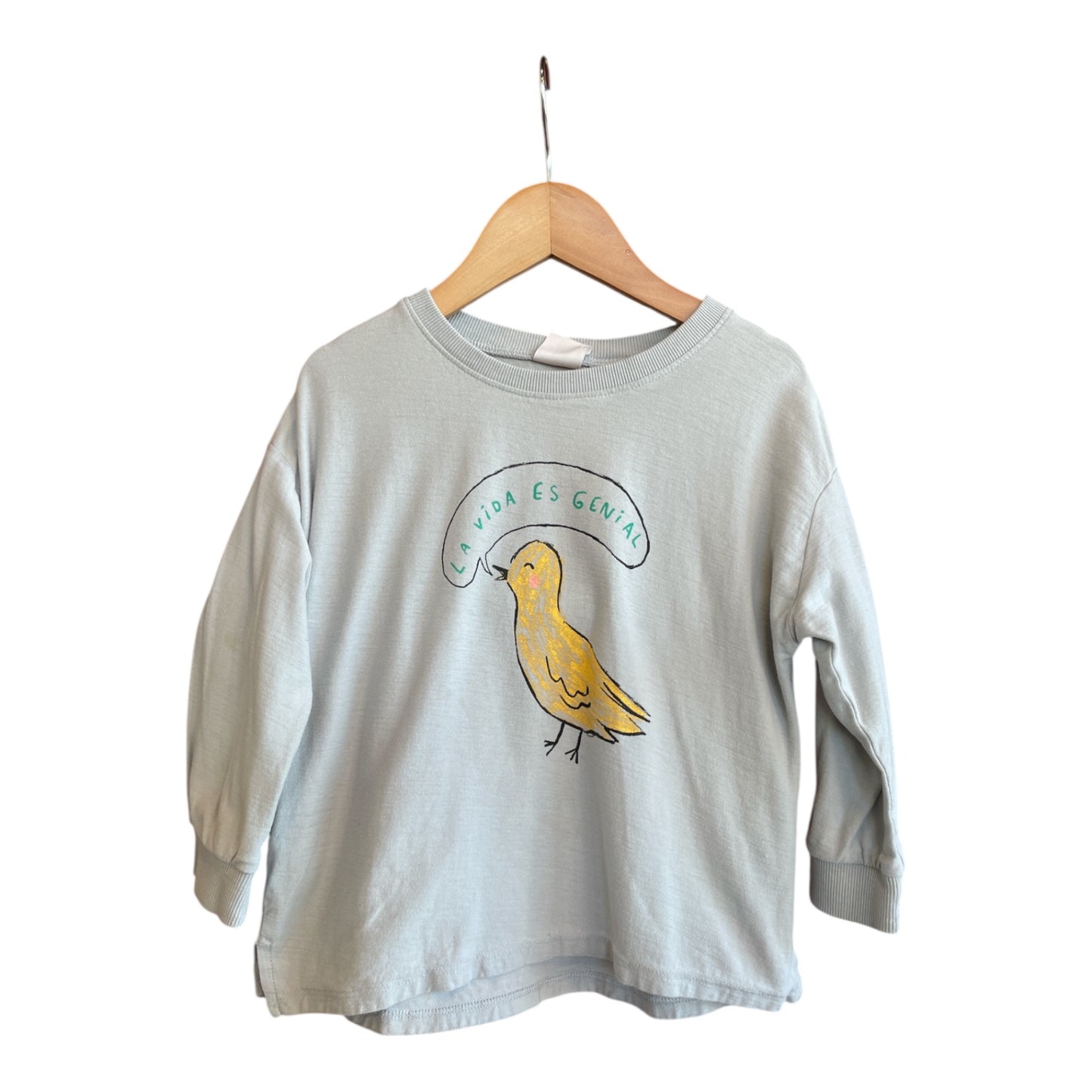 Zara Sweatshirt 98 Good