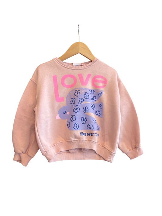 Zara Sweatshirt 104 Good