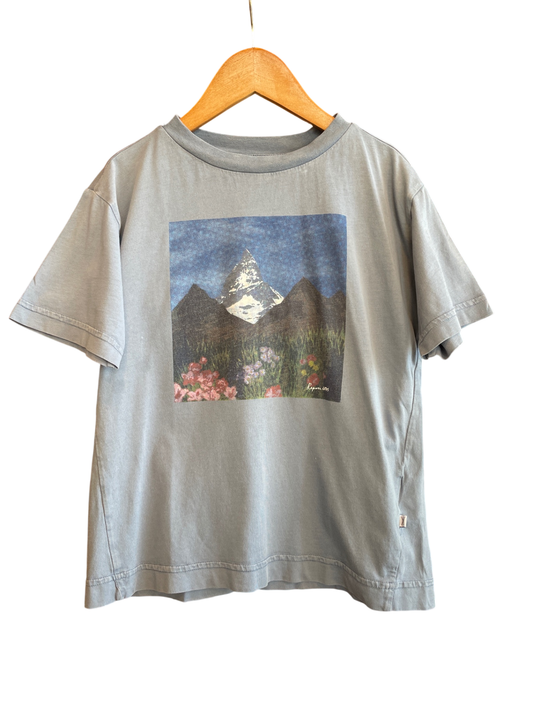 Repose AMS T-Shirt 116 Very Good