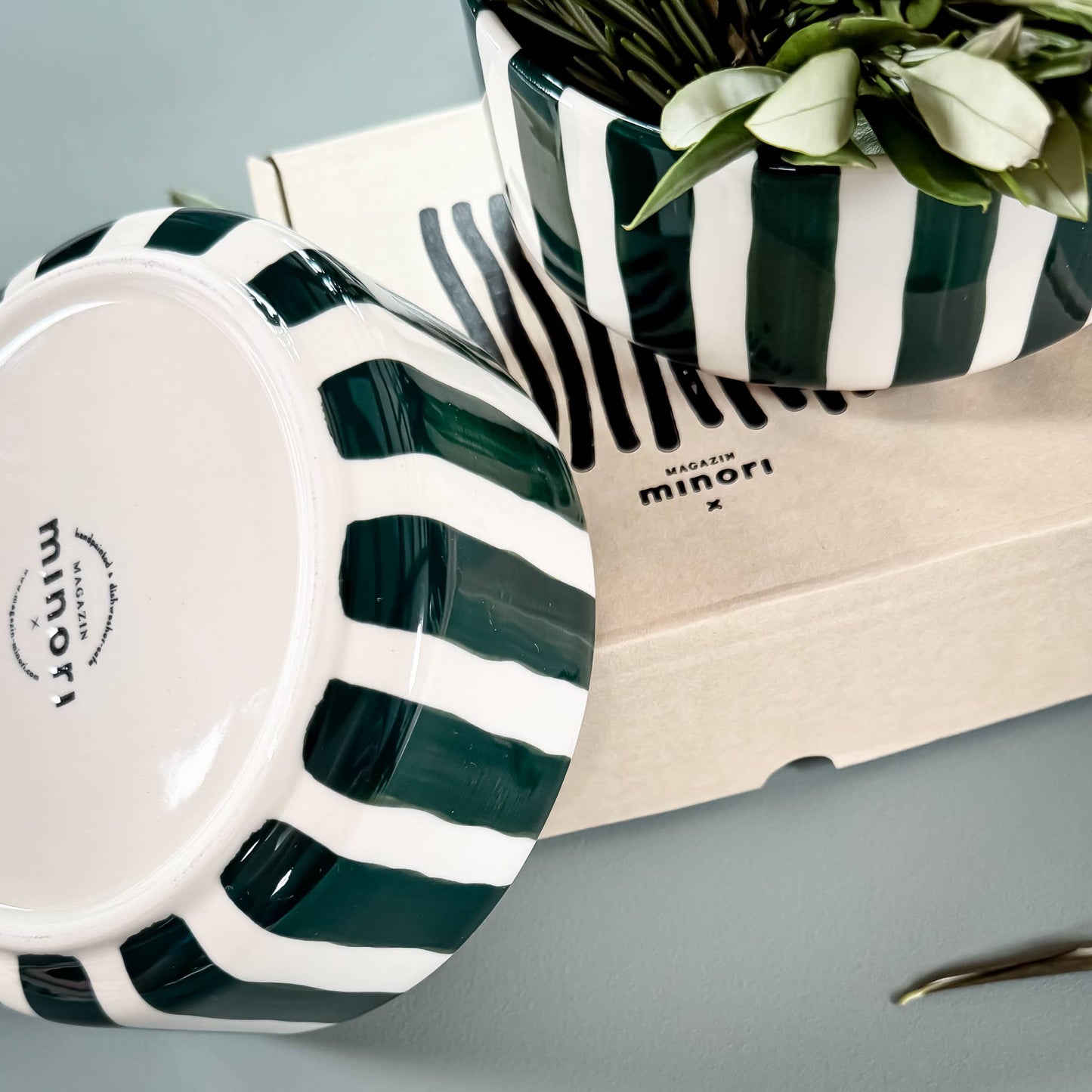 Bowl Stripes - gentle green