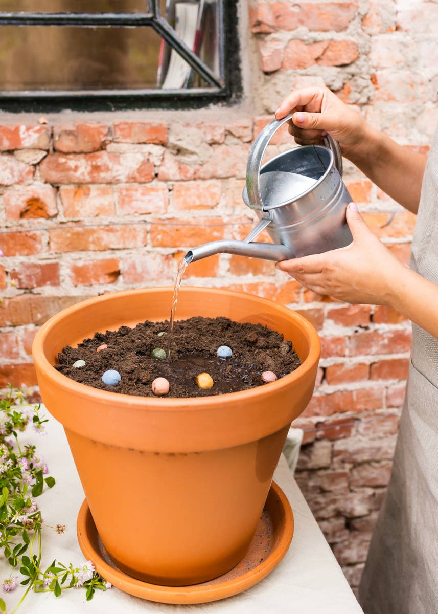 Blossombs - Organic Bee Hanger on Card 'Thanks!' - 1 Blossombs Seed Bomb