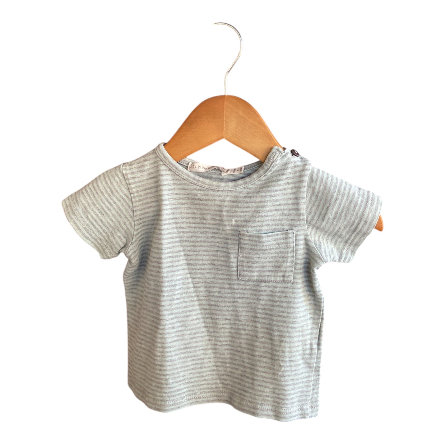 +1 in the Family T-Shirt 74 Acceptable - with a little stain