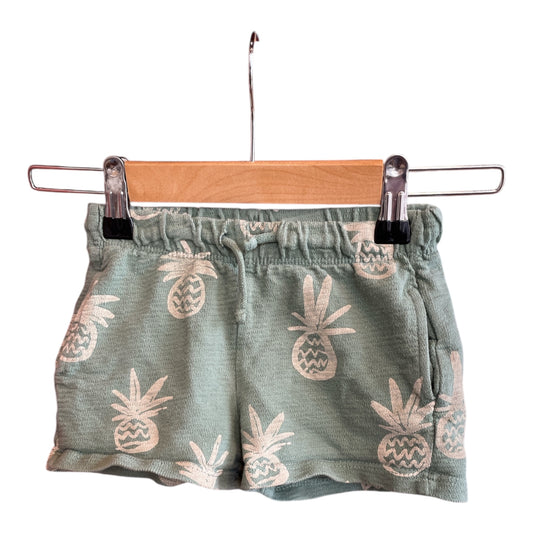 Zara Shorts 86 Acceptable