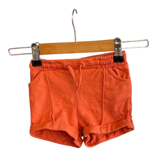 The New Chapter Shorts 74 Good