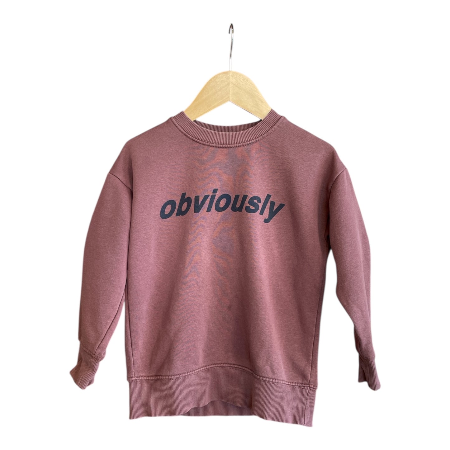 Zara Kids collection Sweatshirt 110 Good