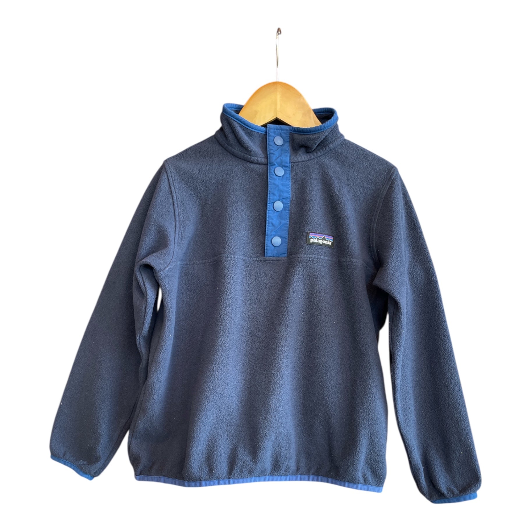 Patagonia Fleece Pullover 110 Very Good