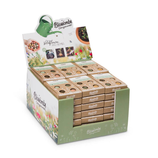 Blossombs - Blossombs Counter Display with 42 Mini Gift Boxes