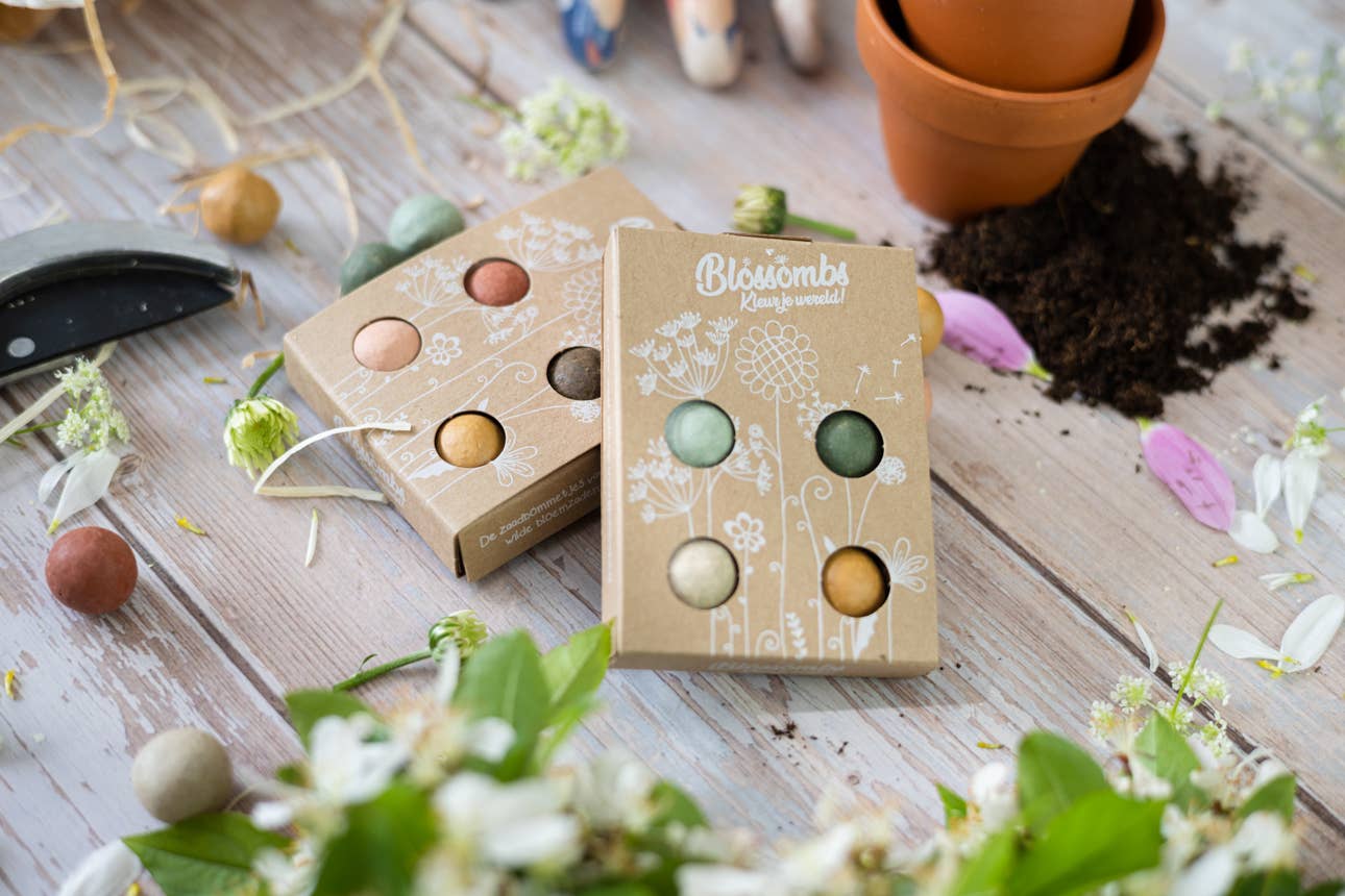 Blossombs - Blossombs Counter Display with 42 Mini Gift Boxes